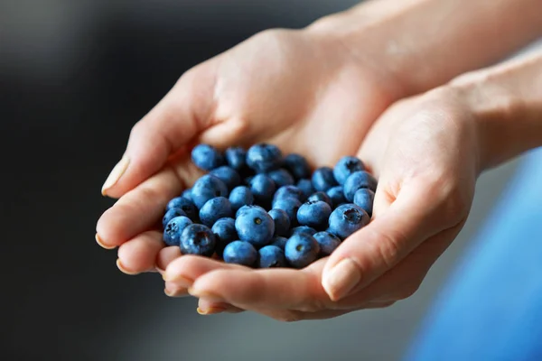 Здоровое органическое питание. Женские руки полны спелых голубых ягод — стоковое фото