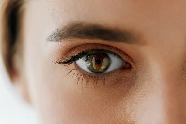 Närbild av vacker flicka ögon och ögonbryn med naturlig Makeup — Stockfoto