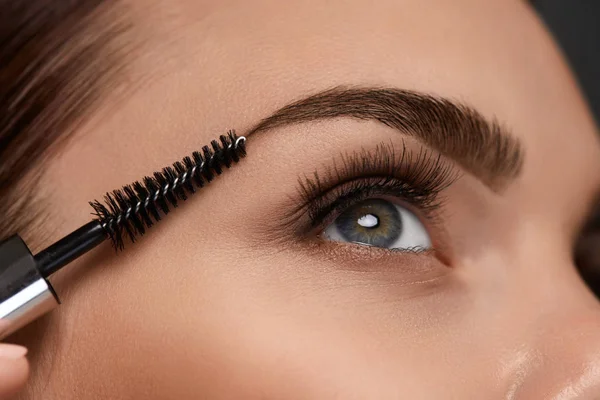 Hermoso ojo de mujer con pestañas largas y cejas. Maquillaje —  Fotos de Stock