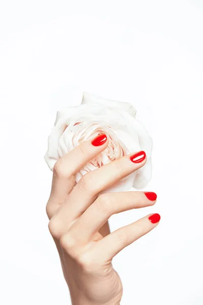 Uñas rojas. Manos de mujer con flor y manicura roja — Foto de Stock