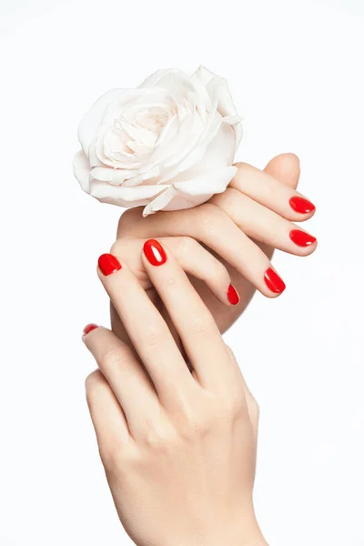 Rode nagels. Vrouw handen met bloem en rode Manicure — Stockfoto