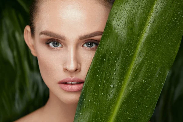 Лицо красавицы с здоровой кожей и зеленым растением — стоковое фото