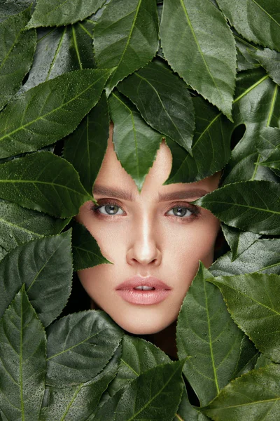 Belleza mujer cara con hojas verdes alrededor de la cara —  Fotos de Stock