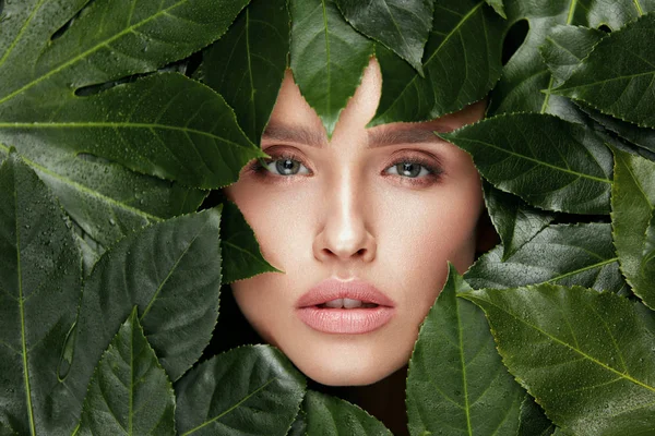 Belleza natural. Hermosa cara de mujer en hojas verdes . —  Fotos de Stock