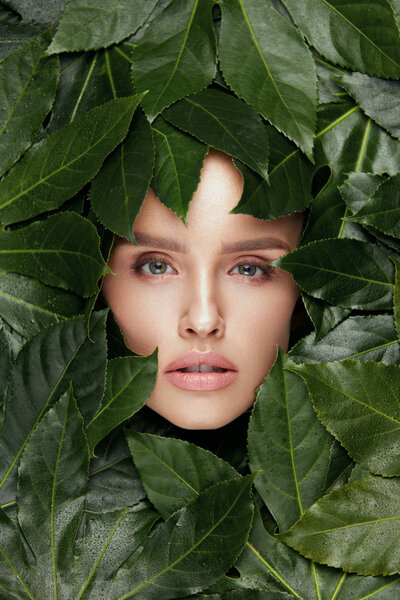 Beauty Woman Face with Green Leaves Around Face
