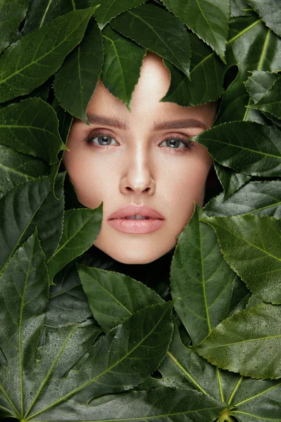 Beauty Woman Face with Green Leaves Around Face — стоковое фото