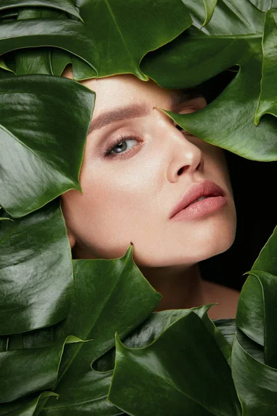 Belleza mujer cara con hojas verdes alrededor de la cara —  Fotos de Stock