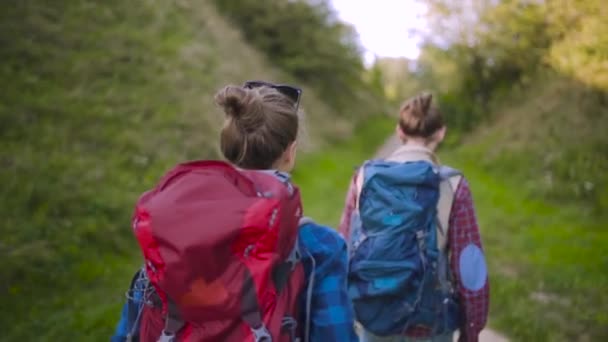 Пара Туристичні Подорожі Прогулянки Рюкзаками Вихідні Літа Насолоджуючись Природою Гори — стокове відео