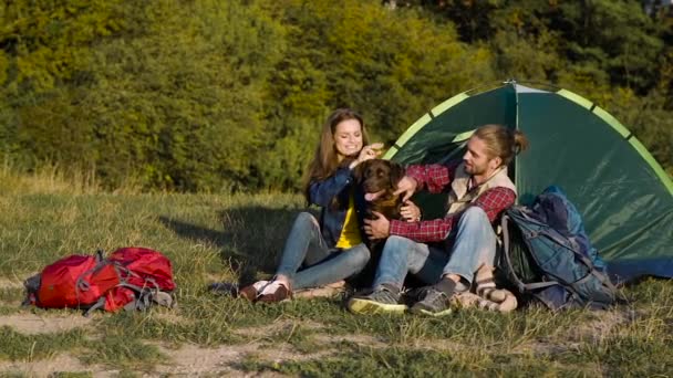 男と女のキャンプ キャンプ テントのそばに座って犬と旅行ペットと自然で遊んで — ストック動画