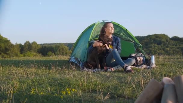 キャンプ テント近くの芝生の上に座って 自然でビールを飲んで 犬と一緒に旅行幸せな女 — ストック動画