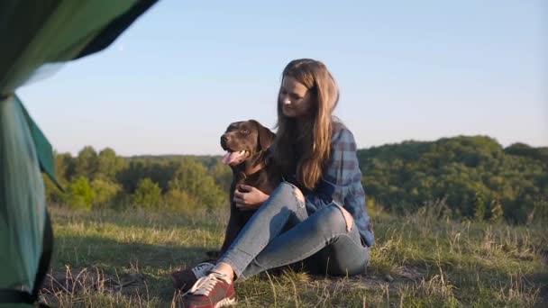 Acampar Mulher Feliz Viajando Com Cão Sentada Perto Tenda Grama — Vídeo de Stock