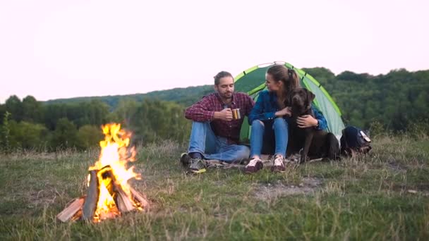 Homem Mulher Viajando Com Cão Acampamento Sentados Perto Tenda Acampamento — Vídeo de Stock