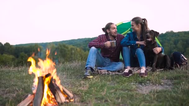 Erkek Kadın Ile Köpek Kampında Kamp Çadır Oturan Seyahat Doğa — Stok video