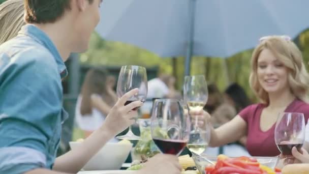 Κόσμος Ζητωκραυγάζει Ποτά Κρασί Απολαμβάνοντας Υπαίθριο Δείπνο Κόμμα — Αρχείο Βίντεο
