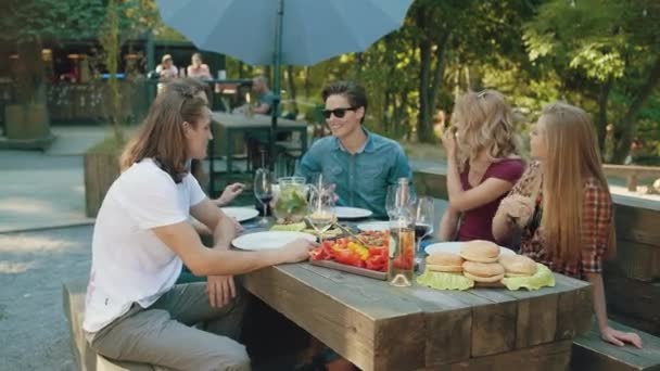 快乐的朋友在户外野餐聚会上有乐趣 欢笑和沟通的性质 — 图库视频影像