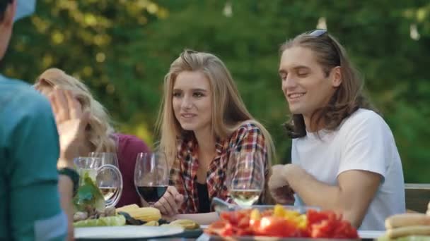 野餐聚会的朋友 快乐的微笑的人享受户外野餐派对 有乐趣和沟通的性质 — 图库视频影像