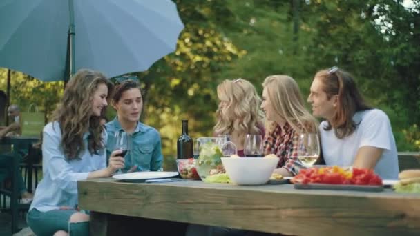 Друзья Пикнике Счастливые Улыбающиеся Люди Наслаждаются Вечеринкой Открытом Воздухе Веселятся — стоковое видео