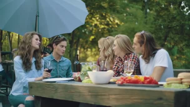 Přátelé Piknik Šťastné Usmívající Lidé Těší Venkovní Piknik Strany Zábavu — Stock video