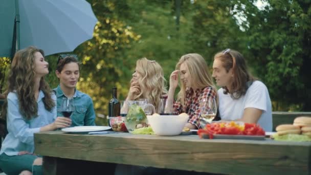 Freunde Bei Einer Picknickparty Glücklich Lächelnde Menschen Genießen Picknick Freien — Stockvideo