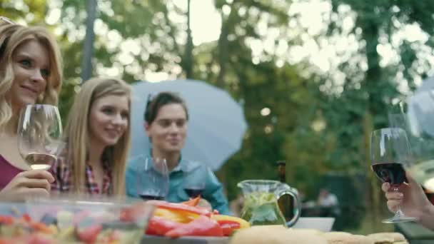 Gente Animando Con Bebidas Disfrutando Cena Aire Libre Mientras Sienta — Vídeos de Stock