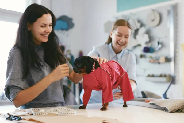 Dog Clothes. Female Tailor Wearing Suit On Pet — Stock Photo, Image