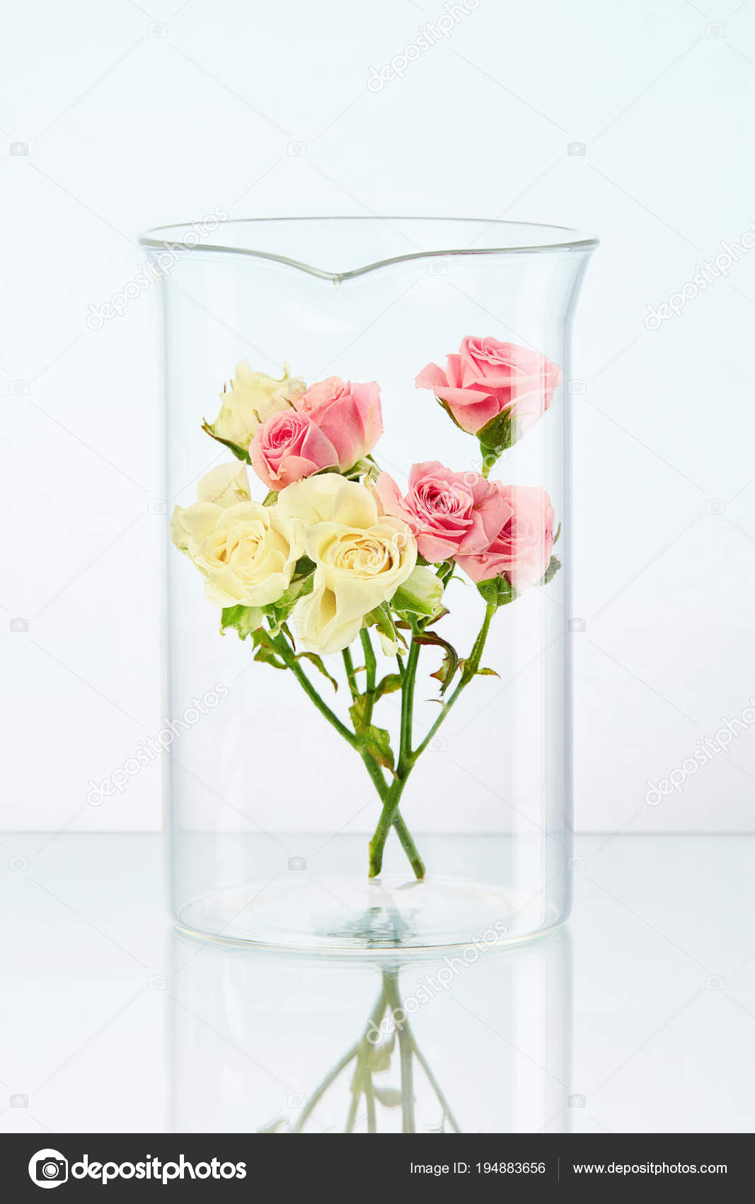 Laboratory Transparent Glass With Flower Stock Photo C Puhhha