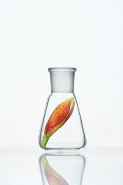 Beyaz arka plan üzerinde laboratuvar cam fabrikasında