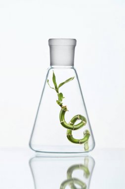 Beyaz arka plan üzerinde laboratuvar cam fabrikasında