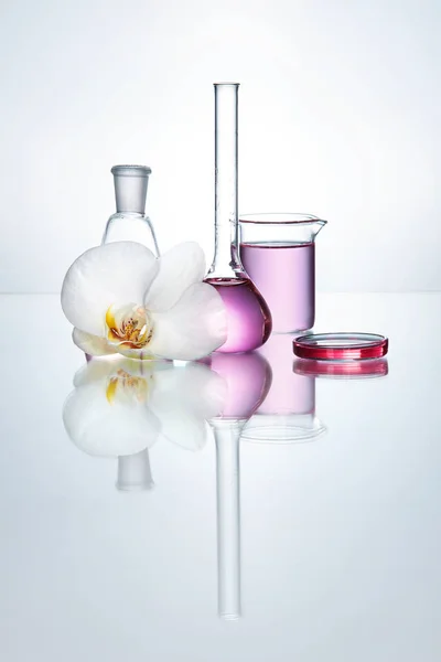 白色背景的实验室玻璃器皿和花 — 图库照片