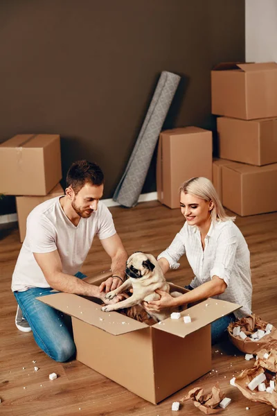 Пара с собакой и коробками переезжают в новую квартиру — стоковое фото