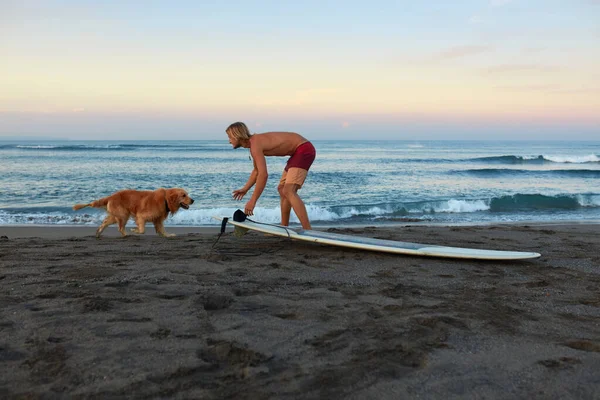 Серфер Людина Серфінг Грає Собакою Біля Дошки Піщаному Пляжі Прекрасний — стокове фото