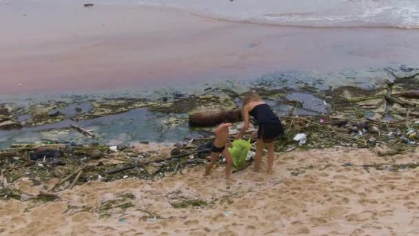 Limpiar Ocean Beach Contaminación Plástica Como Problema Ecológico Mujer Joven — Vídeos de Stock