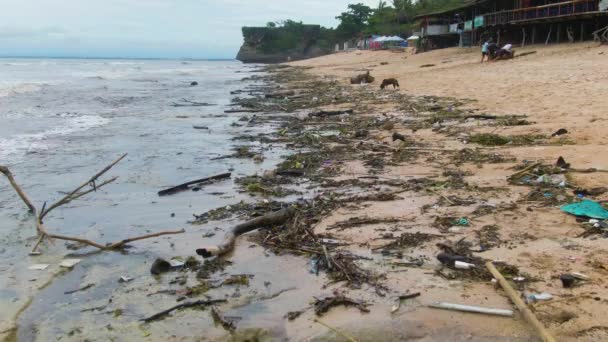 Milieuprobleem Ocean Beach Storm Zeekust Bedekt Met Plastic Afval Prullenbak — Stockvideo