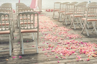 Gül çiçek yaprakları