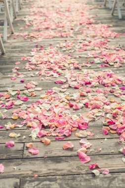 Gül çiçek yaprakları