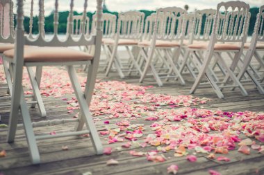 Gül çiçek yaprakları