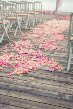 Gül çiçek yaprakları