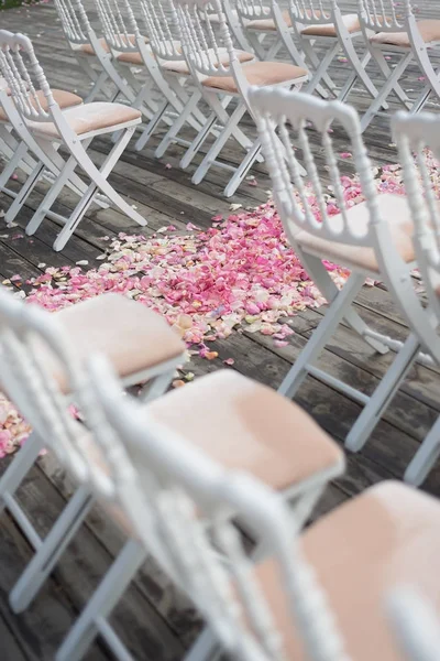 Roze bloemblaadjes — Stockfoto