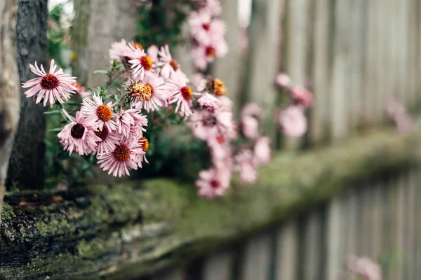 The old wooded fence with flowers