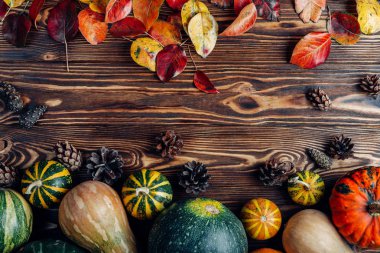 küçük kabak bir ahşap arka plan üzerinde dayanmaktadır