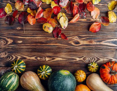 küçük kabak bir ahşap arka plan üzerinde dayanmaktadır