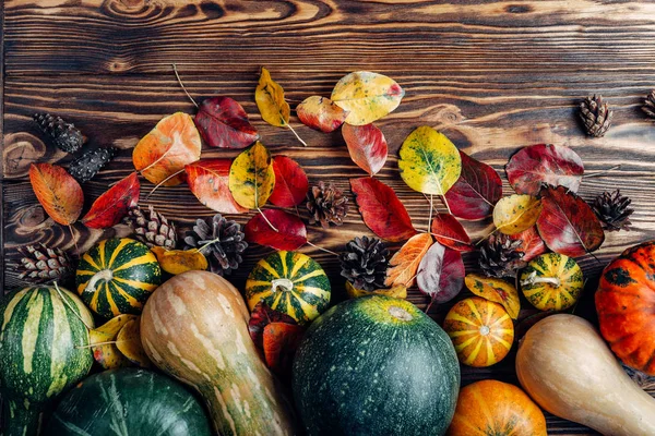 küçük kabak bir ahşap arka plan üzerinde dayanmaktadır