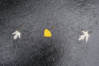 yağmur sonrası hemen asfalt