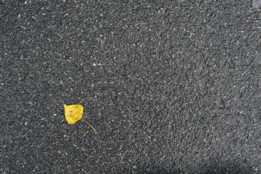 yağmur sonrası hemen asfalt