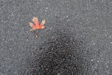 yağmur sonrası hemen asfalt