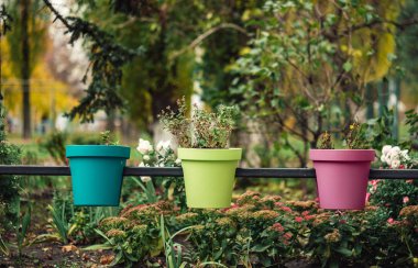 üç adet çok renkli Çiçeklik