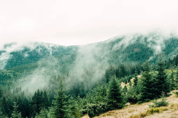 秋霧の中で山の風景 ロイヤリティフリーのストック写真