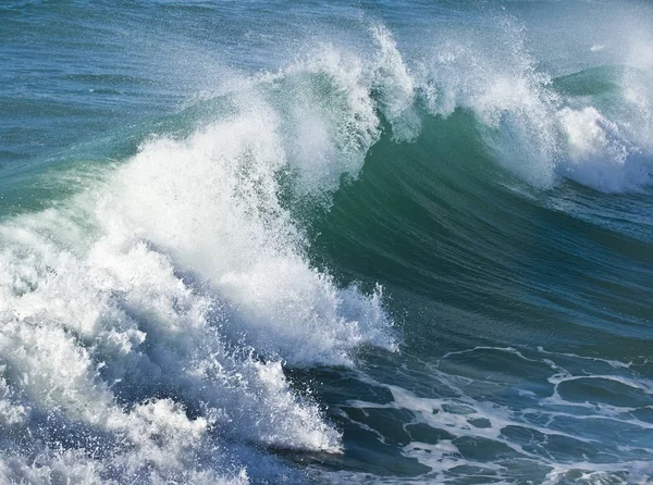 Güneşli güzel dalga