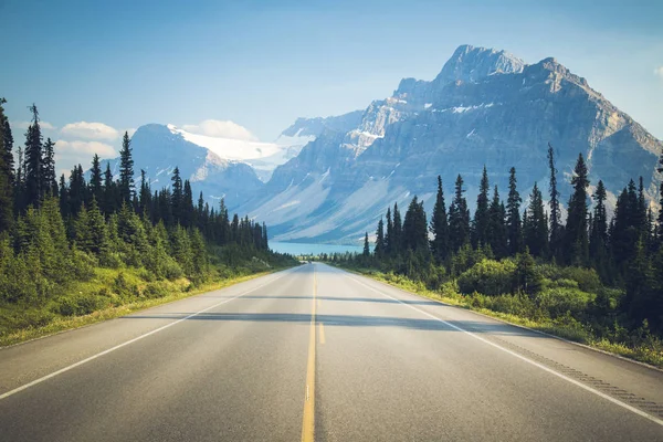 Bow Lake Banff Nationalpark — Stockfoto