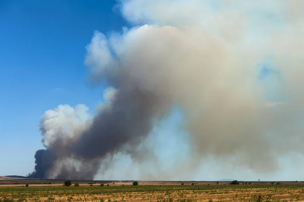 Endüstriyel Yangının Zehirli Dumanı Gökyüzünde Zehirli Hava Kirliliğine Neden Olur — Stok fotoğraf
